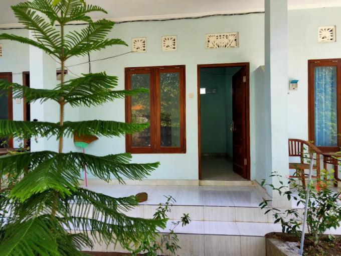 Jr House - The Haven Apartemen